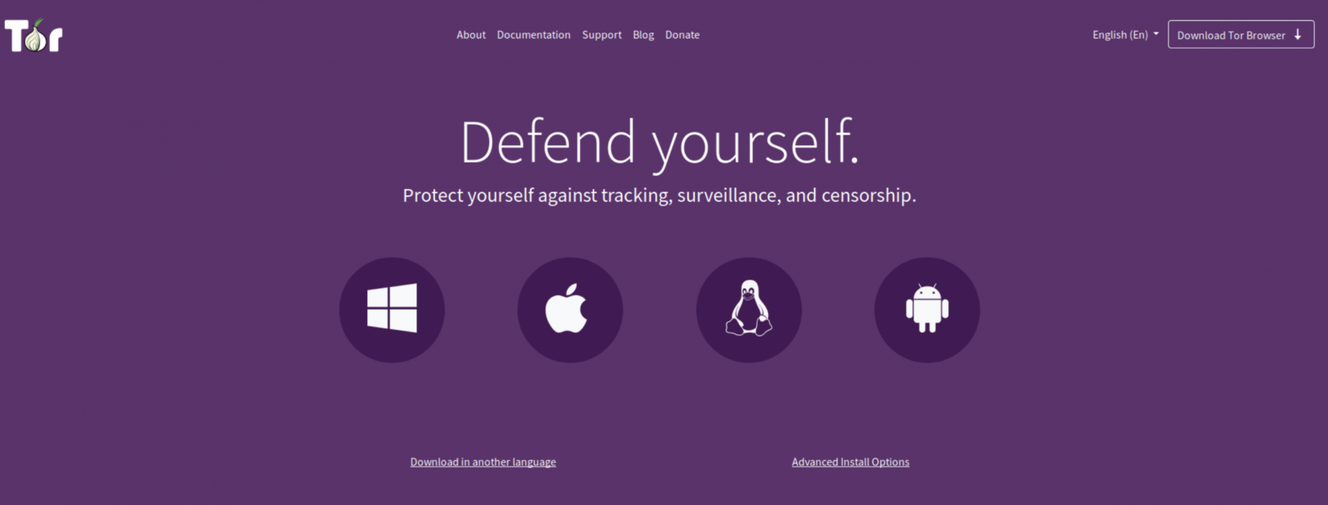 帶有紫色背景的Tor瀏覽器