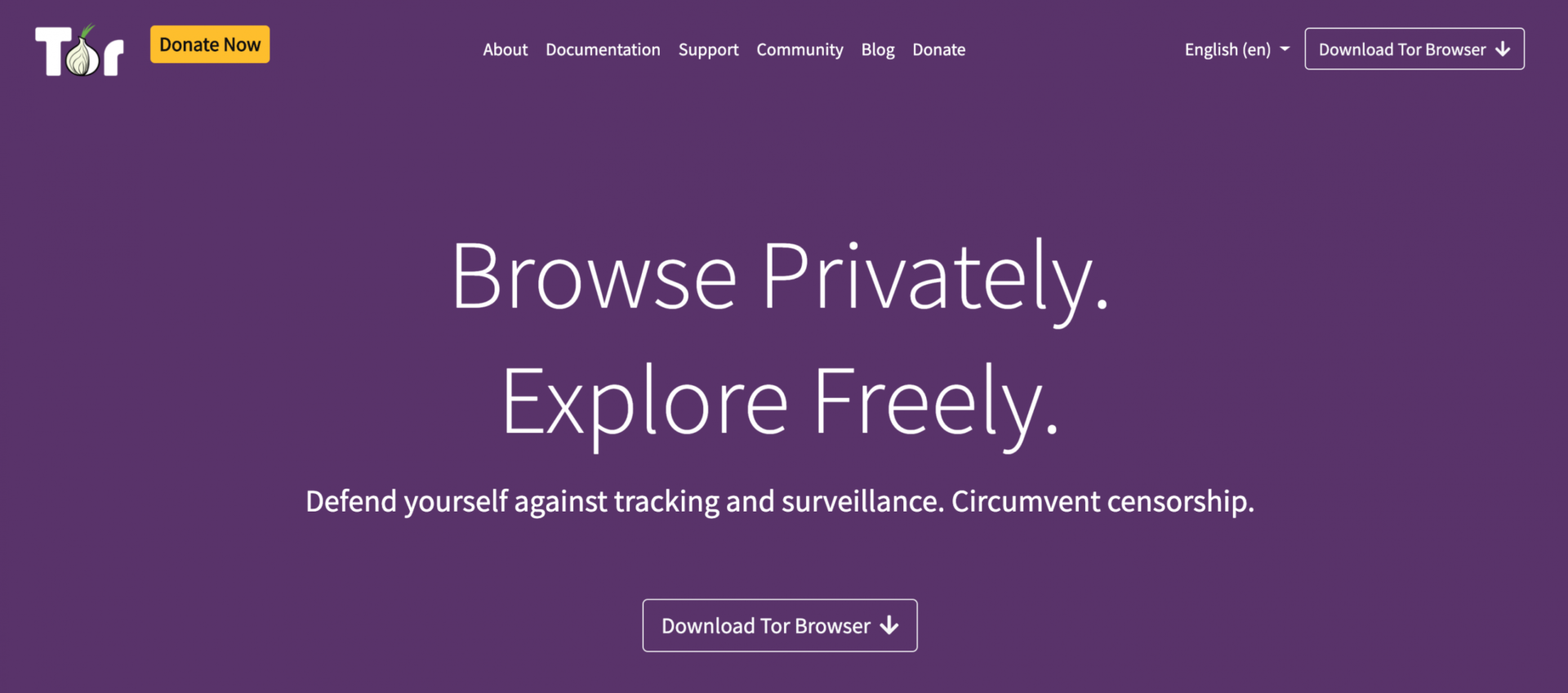 does tor browser working hydra