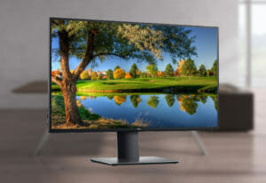 Dell 27 Inch Monitor with nature as background