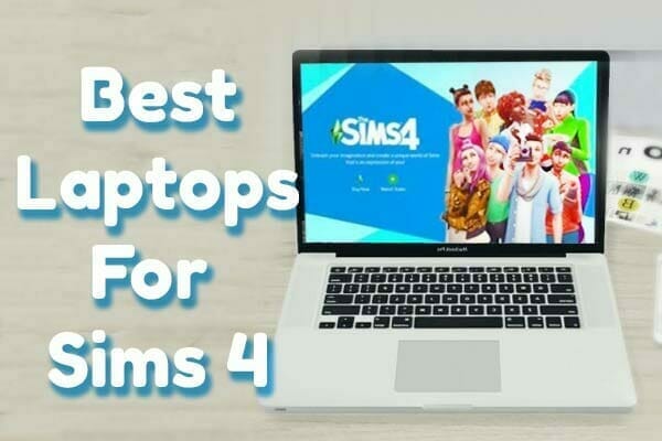 Sims on laptop