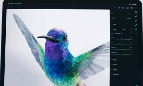 Colibri on a laptop