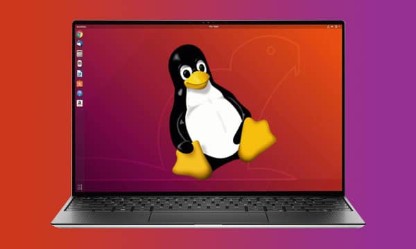 A linux laptop with a penguine