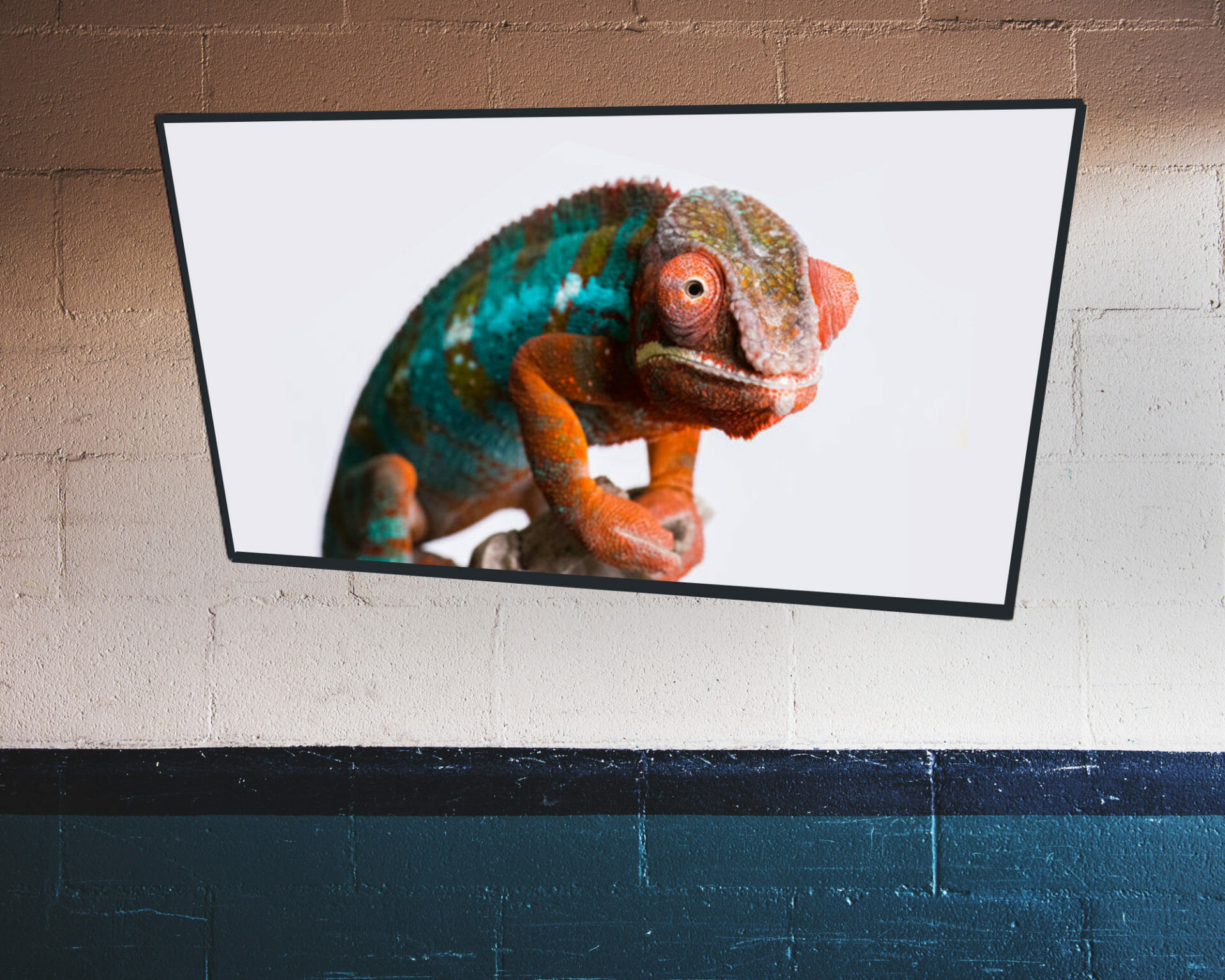 cameleon image on the TV screen