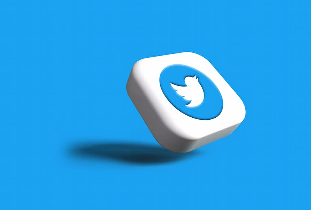 white button with blue Twitter icon