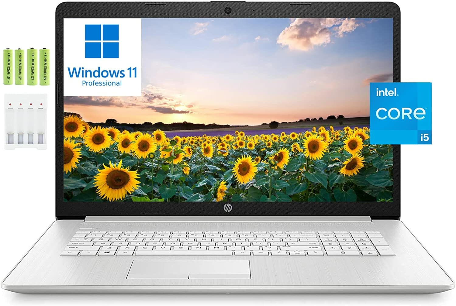 HP 17 17.3" FHD Business Laptop